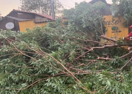 Temporal em Corumbá teve ventos de 87 km/h, destelhamentos de casas e queda de árvores