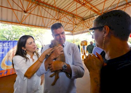 Castração gratuita chega a 25 mil cães e gatos e amplia acesso de famílias em MS