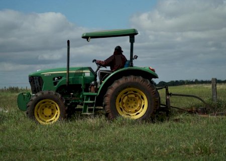 Produção de soja e milho muda perfil da mão de obra no campo em Mato Grosso do Sul