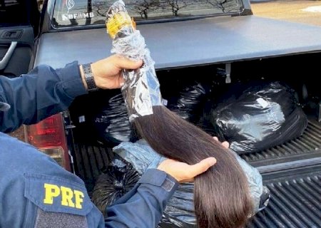 PF mira esquema de contrabando de cabelo humano e bloqueia R$ 75 milhões