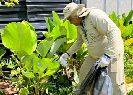 Boletim: MS registra 10,6 mil casos confirmados de chikungunya neste ano