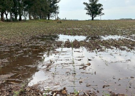 Excesso de chuva exige atenção no plantio da soja
