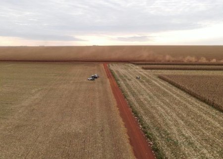 Crédito para custeio da safra cai 30,3% em Mato Grosso do Sul